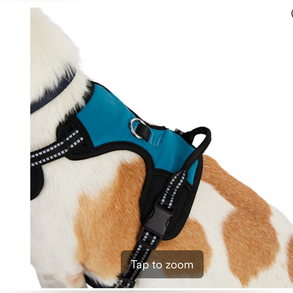 EveryYay Embrace the Pace Teal Reflective Dog Harness Small New w/ tag cut off - Picture 5 of 9